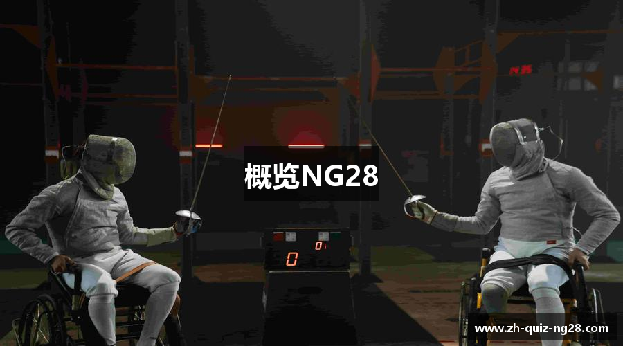 概览NG28